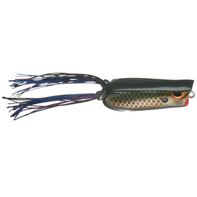 Killer Gill