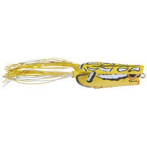 rainforest yellow