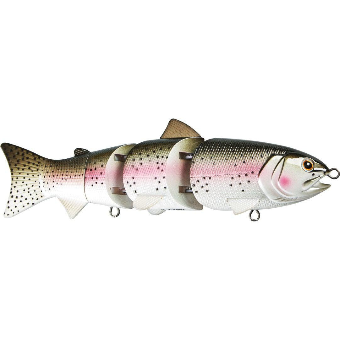 Rainbow Trout