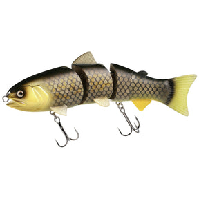 BBZ Killer Carp