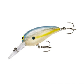 Sexy Shad