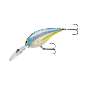 Sexy Shad