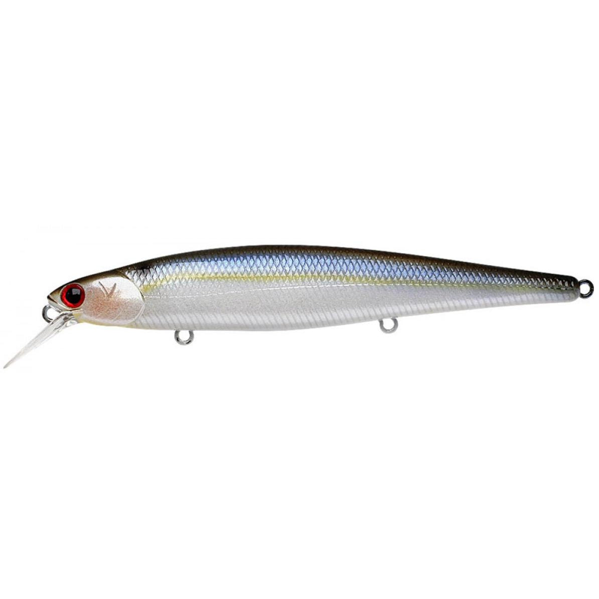 Pearl Threadfin Shad 