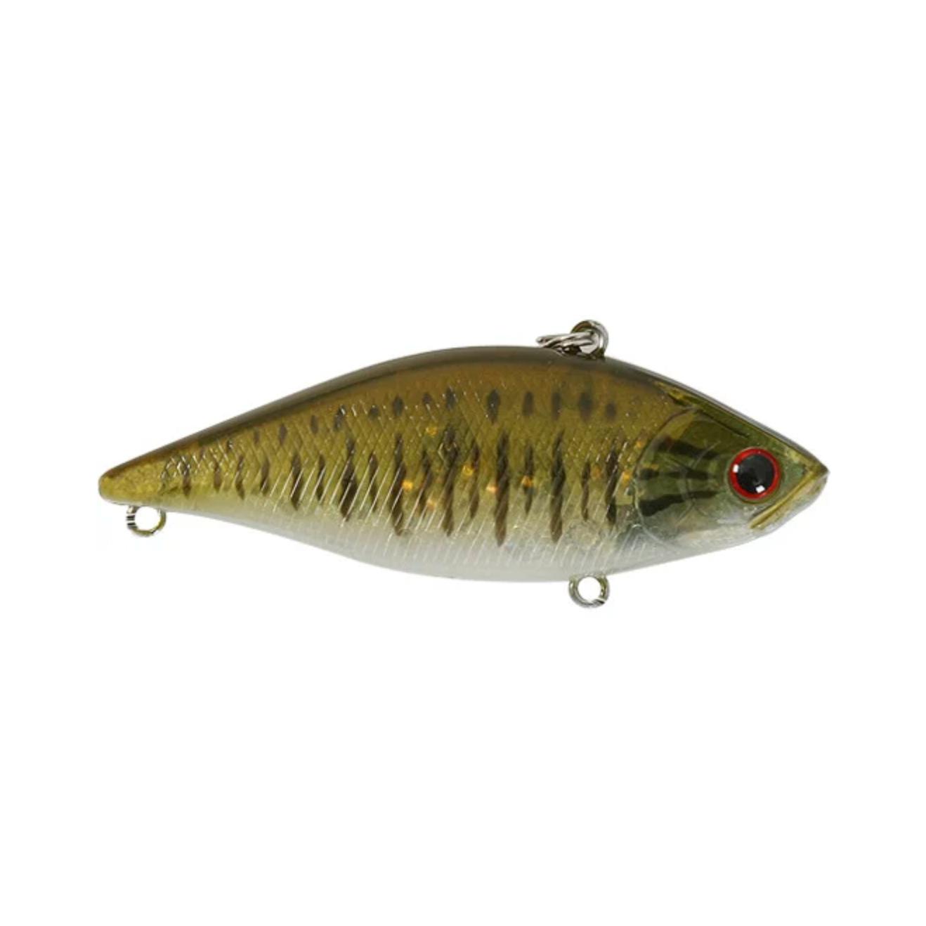 Lucky Craft Fishing Lure LV-500 Crank Bait, MS American Shad, 3-Inch  (75mm), Fishing -  Canada