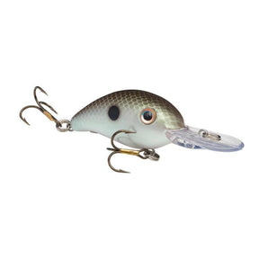 Green Gizzard Shad