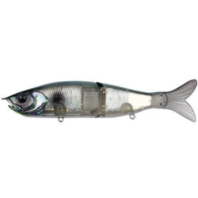 Abalone Shad