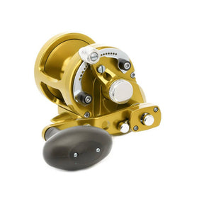 Avet MXL Raptor Gold