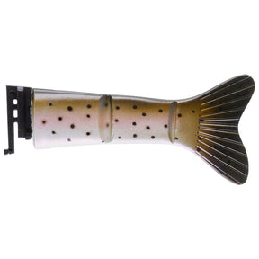 Hatchmatch Trout