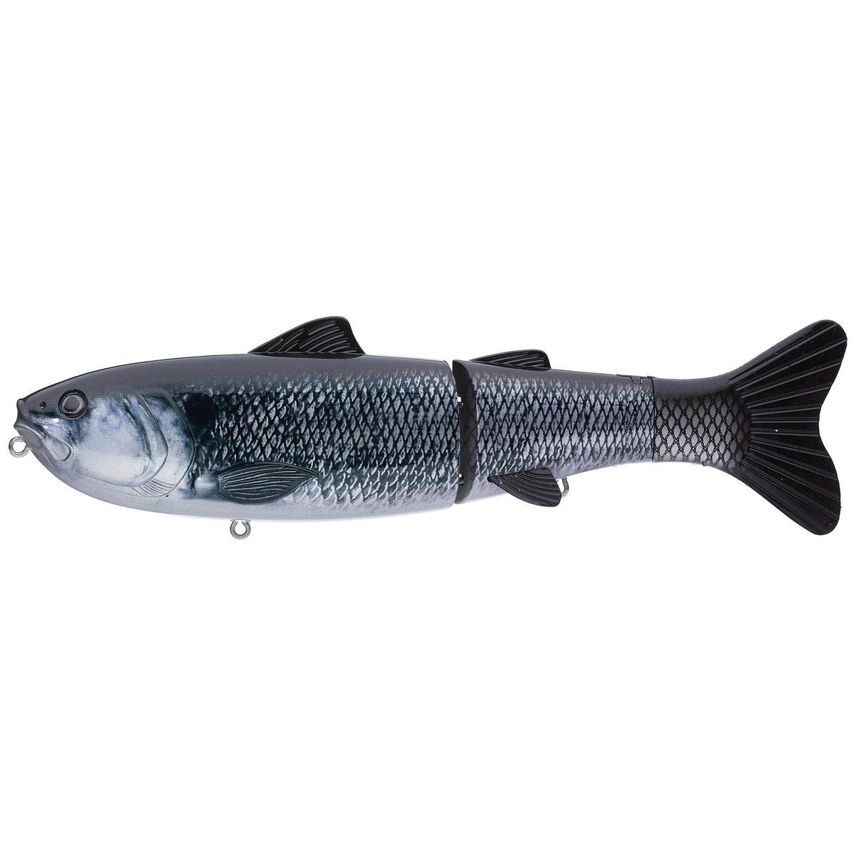 https://www.tackleexpress.com/cdn/shop/products/baitsanity_explorer_shad_1200x.jpg?v=1694045371