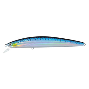 Blue Mackerel