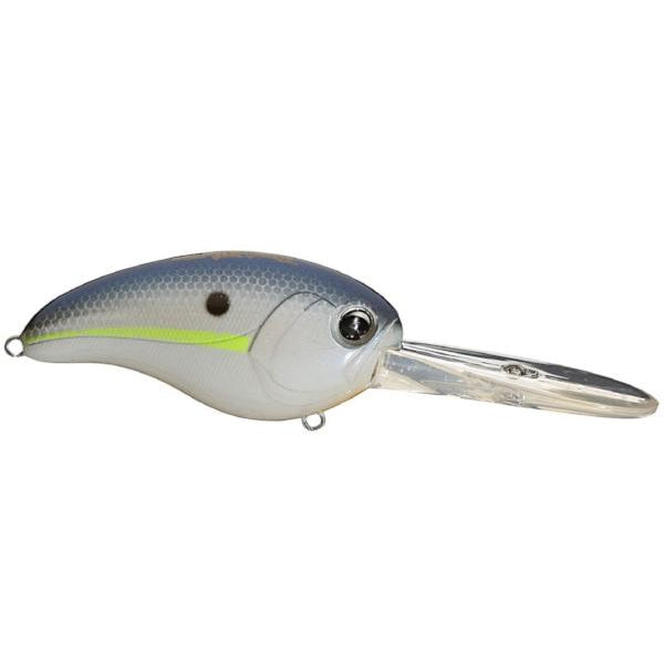 Chartreuse Shad