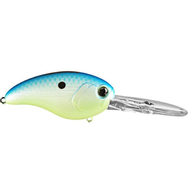 Citrus Shad