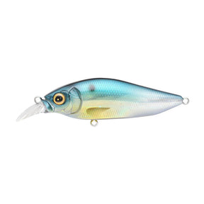GG Threadfin