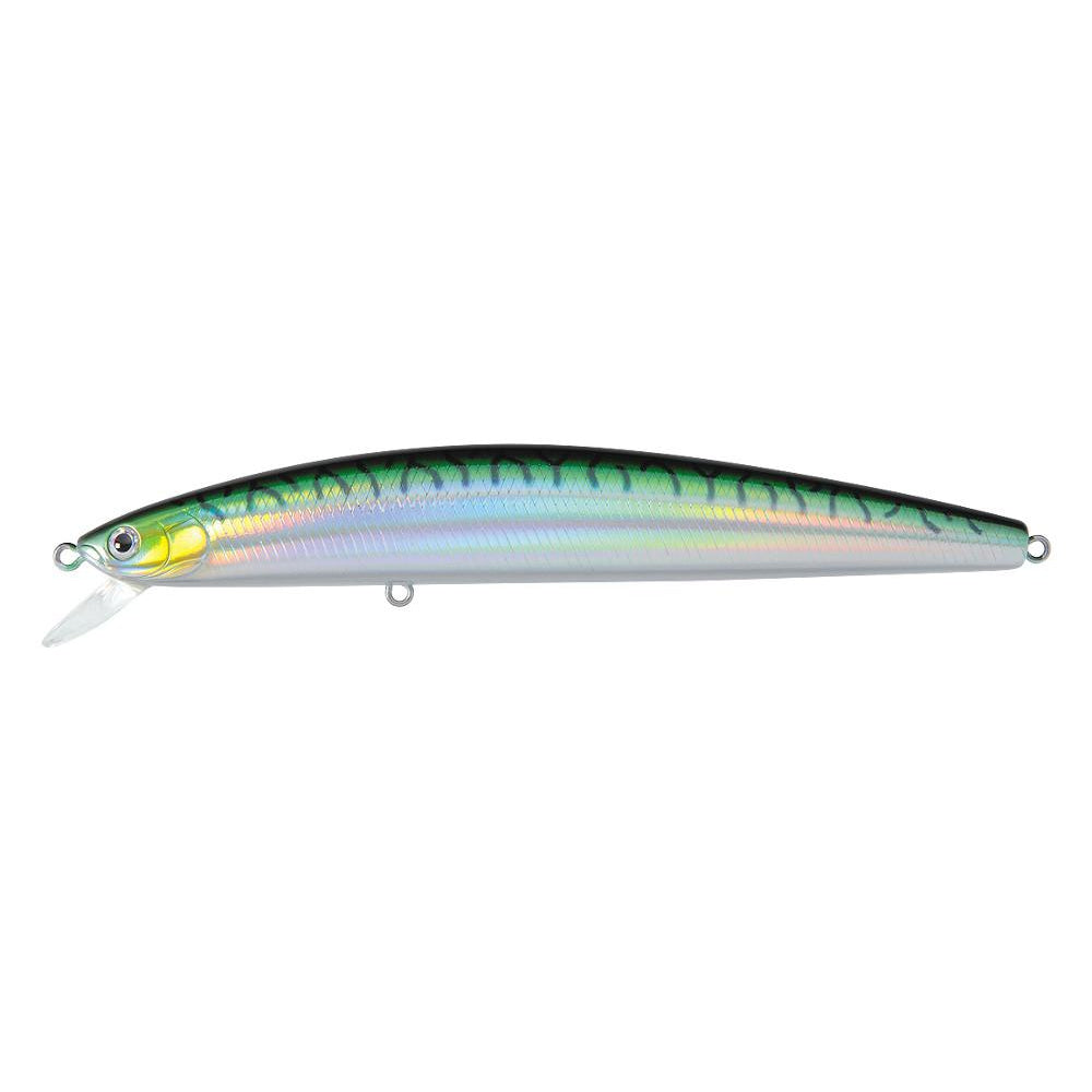 Green Mackerel