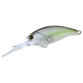 Sexy Shad