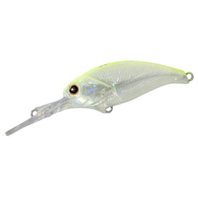 Chartruese Shad