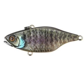 RT Holo Bluegill