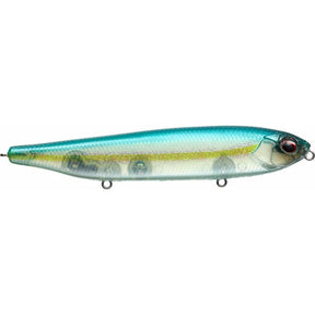 Blue Back Herring