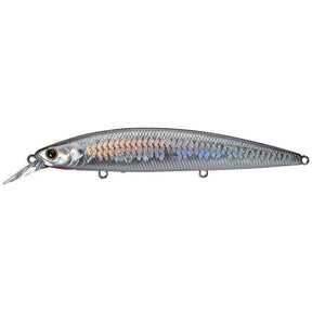 MS Anchovy Grande