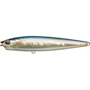 MS American Shad