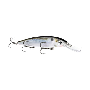 Strike King KVD Jerkbaits