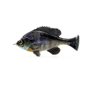 Savage Gear Pulse Tail Bluegill LB 4"