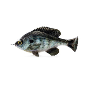 Savage Gear Pulse Tail Bluegill LB 4"