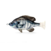 White Gill