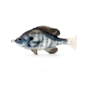White Gill