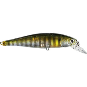 Ghost Baby Bluegill