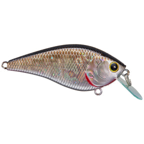 BP Golden Shiner