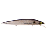 Blue Pearl Shad