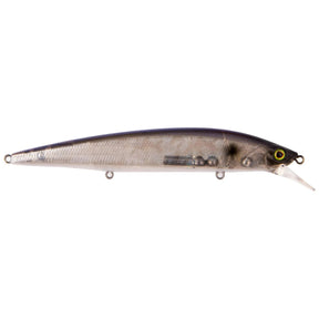 Blue Pearl Shad