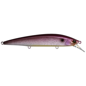 Burgundy Shad