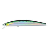 Green Mackerel