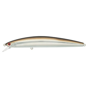 Sand Eel