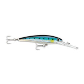 Blue Sardine