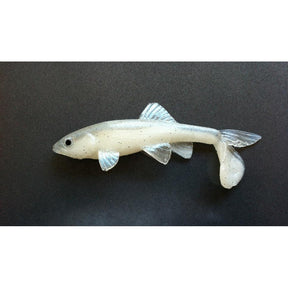 Pearl Whitefish